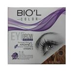 کیت رنگ ابرو بیول Biol Eyebrow شماره 6.0N6