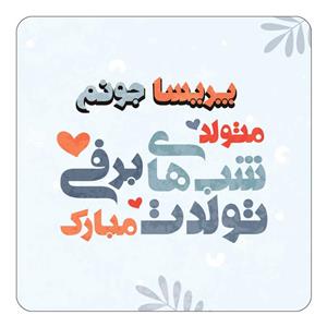 مگنت کاکتی طرح اسم پریسا مدل تولد زمستان کد mn18580