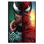 پوستر مدل اسپایدرمن Spider man کد 461