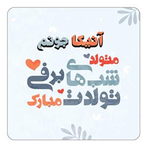 مگنت کاکتی طرح اسم آنیکا مدل تولد زمستان کد mn14862