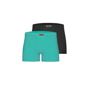 شورت مردانه تولیدی پاران مدل صادراتی  کلاسیک نخ پنبه مردانه مجموعه 2 عددی