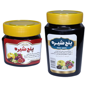 پنج شیره انگور و توت و خرما و سیب و انجیر حس خوب - 1000 گرم