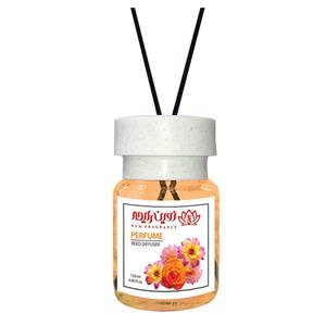 خوشبوکننده هوا نوین رایحه مدل پرفیوم حجم 120 میلی لیتر