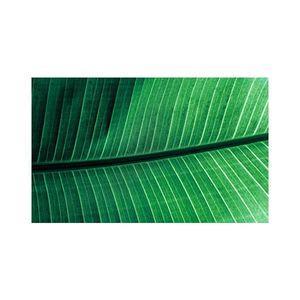 پادری مدل گل و طبیعت کد M35M001-MF0147 سایز 76x46 سانتی متر