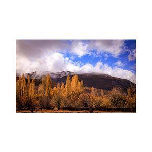 پادری مدل گل و طبیعت کد M35M001-MF0146 سایز 76x46 سانتی متر