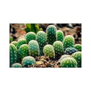 پادری مدل گل و طبیعت کد M35M001-MF0132 سایز 76x46 سانتی متر