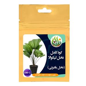 کود کامل تقویتی نخل لیکوالا ظرافت مدل KO21754  وزن 100 گرم