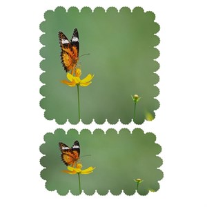 ست رومیزی 2 تکه کد 6213
