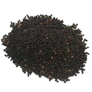 خاک پلنت مدل پلاس کد ER580 وزن 500 گرم