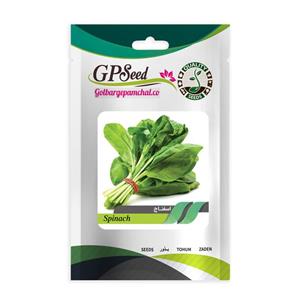 قیمت و خرید بذر اسفناج جی پی سید مدل GP1406