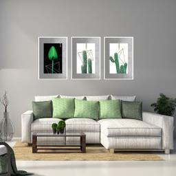 تابلو بکلیت طرح مدرن طبیعت و گل کاکتوس مدل W-1895 مجموعه 3 عددی