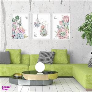 تابلو بکلیت طرح مدرن طبیعت و گل کاکتوس مدل W-1901 مجموعه 3 عددی
