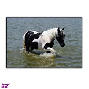 تابلو شاسی بکلیت طرح دریا و اسب سیاه و سفید مدل SH-7552
