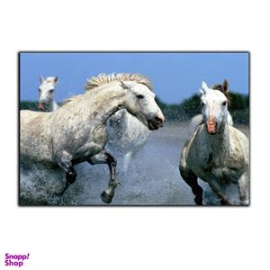 تابلو شاسی بکلیت طرح اسب و دریا مدل SH-7544