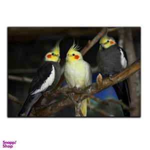 تابلو شاسی بکلیت طرح طبیعت عروس هلندی مدل SH-S1614