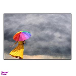 تابلو شاسی بکلیت طرح عکاسی هنری چتر و باد مدل SH-S1189