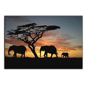 تابلو شاسی بکلیت طرح حیات وحش آفریقا فیل مدل SH-S1588 