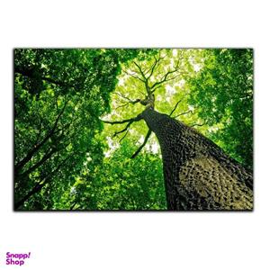 تابلو شاسی بکلیت طرح طبیعت و جنگل مدل SH-S1091