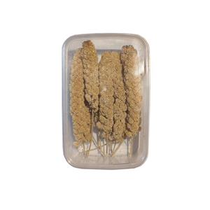 غذای پرنده مدل ارزن خوشه ای کد SP7 بسته 10 عددی