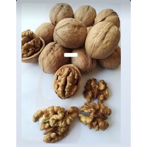 گردو پوست کاغذی زمانی - 1 کیلوگرم