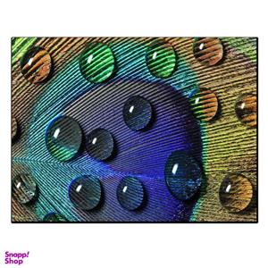 تابلو شاسی بکلیت طرح پر طاووس مدل SH-11361