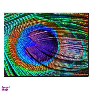 تابلو شاسی بکلیت طرح پر طاووس مدل SH-11306