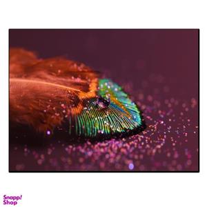 تابلو شاسی بکلیت طرح پر طاووس مدل SH-11318