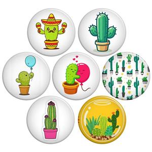 پیکسل گالری باجو طرح کاکتوس کد cactus 27 مجموعه 7 عددی