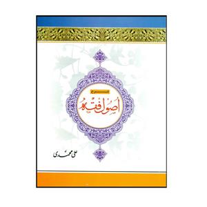 کتاب شرح اصول فقه اثر علی محمدی انتشارات دارالفکر جلد 4