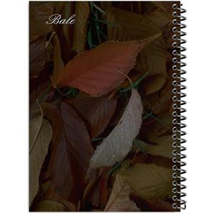 دفتر طراحی 120 برگ بله مدل رحلی طرح عکاسی جنگل پاییزی کد TL284