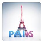 مگنت کاکتی طرح پاریس Paris مدل mp55475