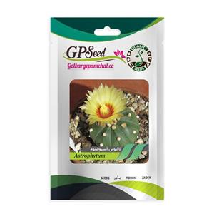 بذر کاکتوس آستروفیتوم جی پی سید مدل GP11640