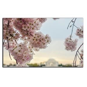 تابلو شاسی بکلیت طرح طبیعت شکوفه های گیلاس مدل SH-8871