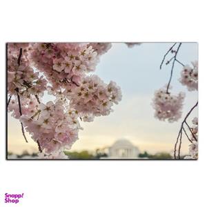 تابلو شاسی بکلیت طرح طبیعت شکوفه های گیلاس مدل SH-8871