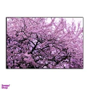 تابلو شاسی بکلیت طرح شکوفه های بهاری مدل SH-S2998