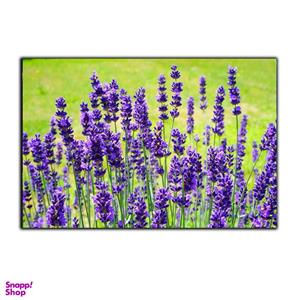 تابلو شاسی بکلیت طرح طبیعت گل بهاری اسطوخودوس مدل SH-S3001