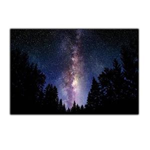 تابلو شاسی بکلیت طرح جنگل و منظره آسمان شب مدل SH-S4465