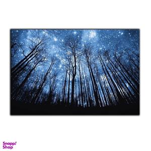 تابلو شاسی بکلیت طرح منظره آسمان شب و جنگل مدل SH-S4467