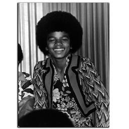 تابلو شاسی بکلیت طرح خواننده مایکل جکسون مدل SH-6403