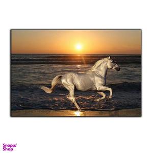 تابلو شاسی بکلیت طرح دریا و اسب مدل SH-7556