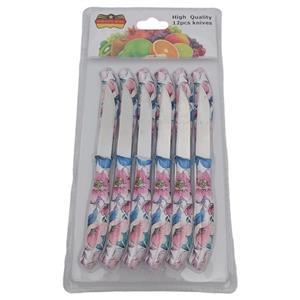 کارد میوه خوری رومانتیک هوم مدل R202 مجموعه 12 عددی