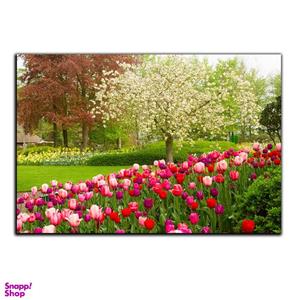 تابلو شاسی بکلیت طرح طبیعت بهار و لاله زار مدل SH-S1282