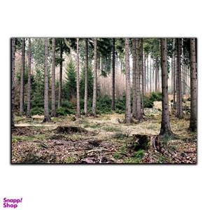 تابلو شاسی بکلیت طرح طبیعت جنگل مدل SH-S1607