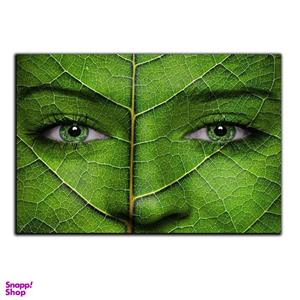 تابلو شاسی بکلیت طرح عکاسی هنری پرتره مدل SH-S877