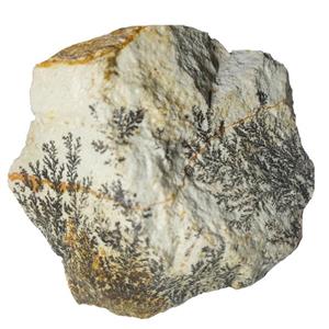 سنگ شجر مدل  فسیلی  کد 60 F