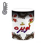 ماگ حرارتی کاکتی مدل اسم آویژه طرح سنتی گل و بته کد mgh43954