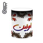 ماگ حرارتی کاکتی مدل اسم اولین طرح سنتی گل و بته کد mgh43949