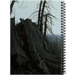 دفتر طراحی 100 برگ انتشارات بله مدل کاغذ ضخیم طرح جنگل های زیبا کد TK292