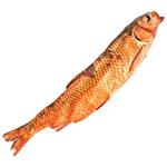 ماهی آمور دودی (سفید پرورشی) شمال