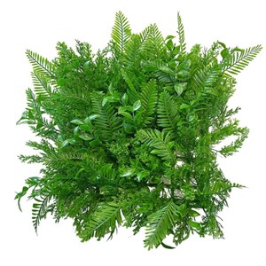 چمن مصنوعی مدل دکور سبز آکواریومی طرح سیکات سرو سایز 25x25 سانتی متر
